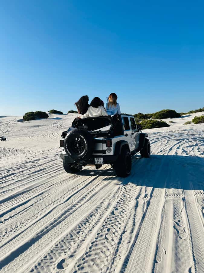 Cape Town Dessert Thrill: 4x4 Dune Venture - Who will enjoy this Atlantis Dunes outing