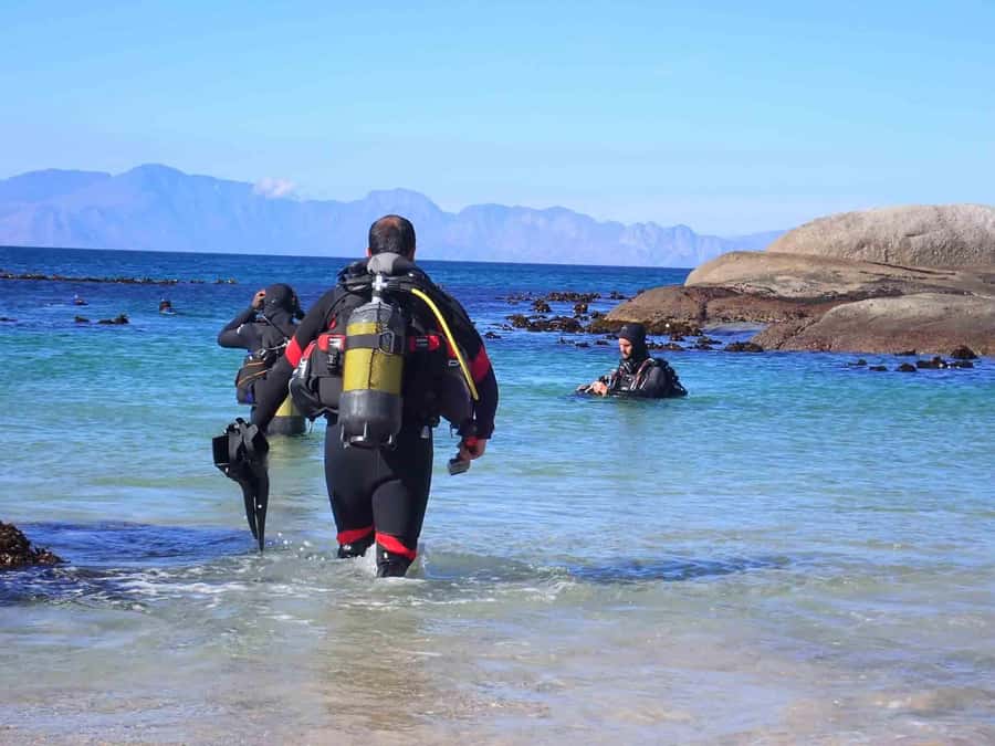 Cape Town: Discover Scuba Diving - 1 day experience - Key points at a glance