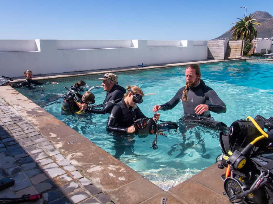Cape Town: Discover Scuba Diving - 1 day experience - A gentle first step into Cape Town’s sea
