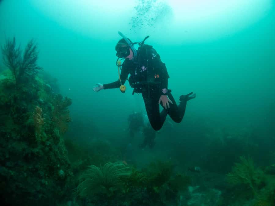 Cape Town: Discover Scuba Diving - 1 day experience - Weather is part of the decision