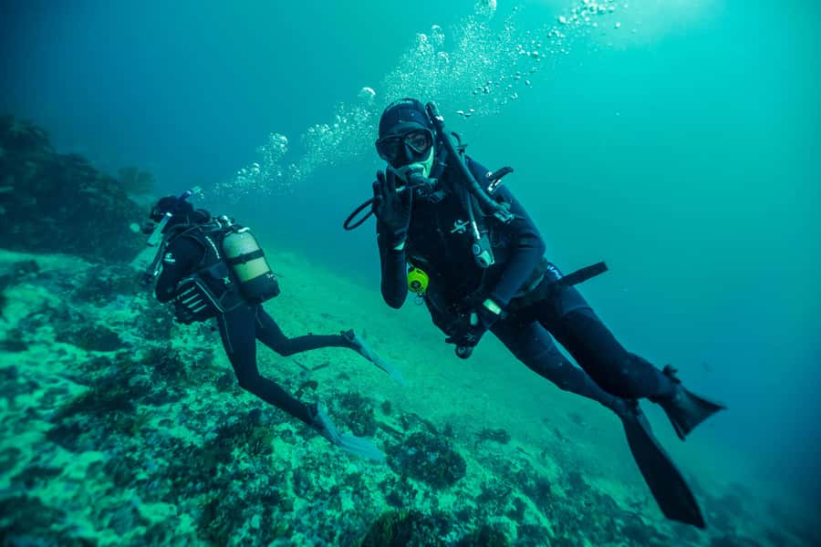 Cape Town: Discover Scuba Diving - 1 day experience - Who will enjoy this most