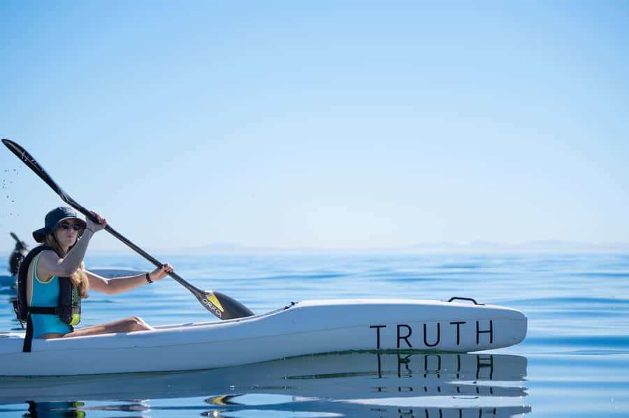 Cape Town: Dolphin & Ocean Wildlife Kayaking Adventure ⚓️ - Key points to know before you book