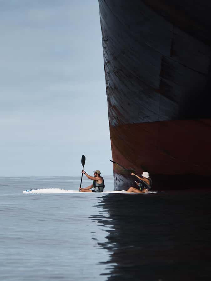 Cape Town: Dolphin & Ocean Wildlife Kayaking Adventure ⚓️ - Who will enjoy this kayaking adventure?