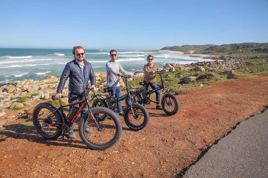 Cape Town: E-Bike Cape Peninsula Tour - Cape Point Nature Reserve by bicycle