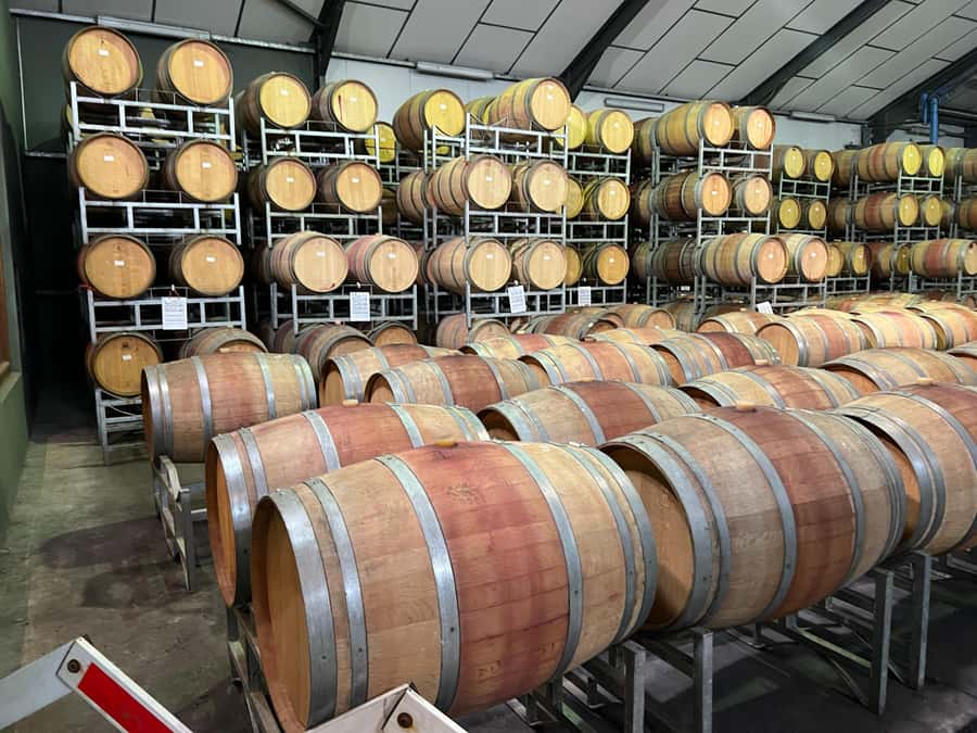 Cape Town: Franschhoek and Wine Tram Tour - How to make the day run smoothly