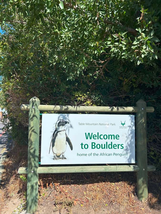 Cape Town: Full Day Cape of Good Hope with Penguins Tour - Boulders Beach and the African penguin colony
