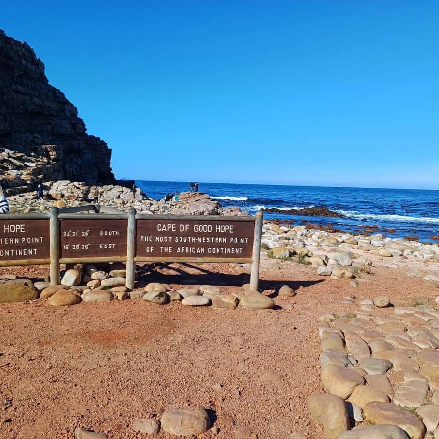 Cape Town: Full Day Cape of Good Hope with Penguins Tour - Sea Point and Camps Bay set the tone