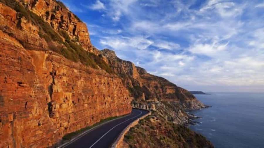 Cape Town: Full-Day Cape Peninsula Tour & Penguin Beach - Key points to know before booking