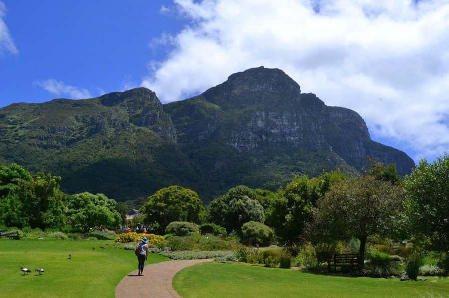 Cape Town: Full-Day Kirstenbosch, Bo-Kaap, and Penguins Tour - Chapman’s Peak Drive and Hout Bay seals
