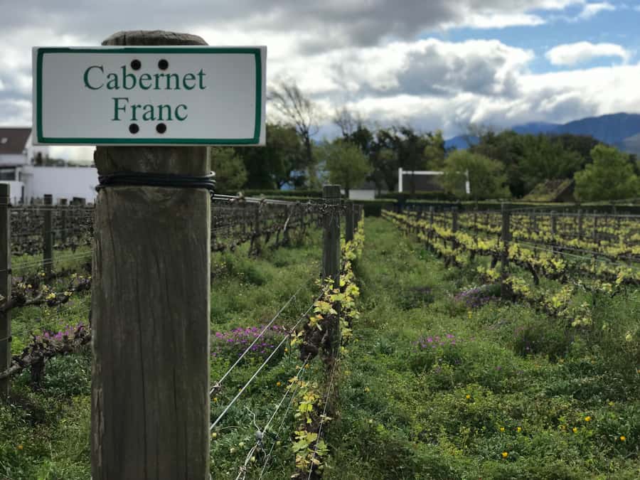 Cape Town: Full-Day Stellenbosch and Franschhoek Wine Tour - Four wine farms, four different moods