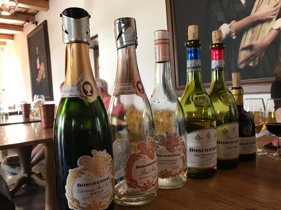 Cape Town: Full-Day Stellenbosch and Franschhoek Wine Tour - Delaire Graff’s polished final act