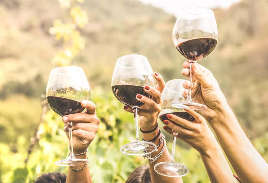 Cape Town: Full-Day Wine Tasting Tour with Wine Tram - The Franschhoek tram is fun, but brief