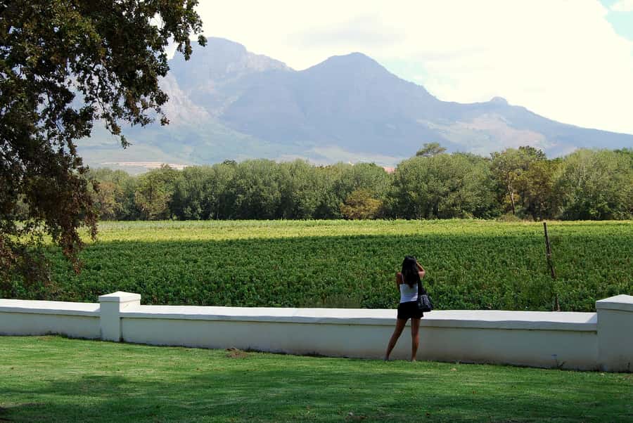 Cape Town: Full-Day Winelands Tour with Wine Tastings & Food - A nine-hour route through three Cape wine regions