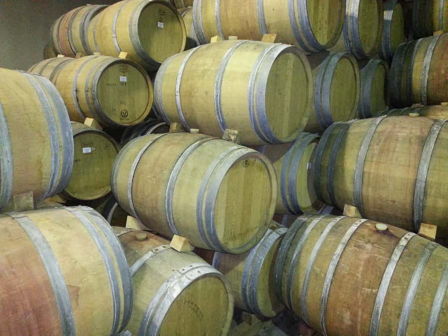 Cape Town: Full-Day Winelands Tour with Wine Tastings & Food - Guides make the difference between a good day and a tiring one