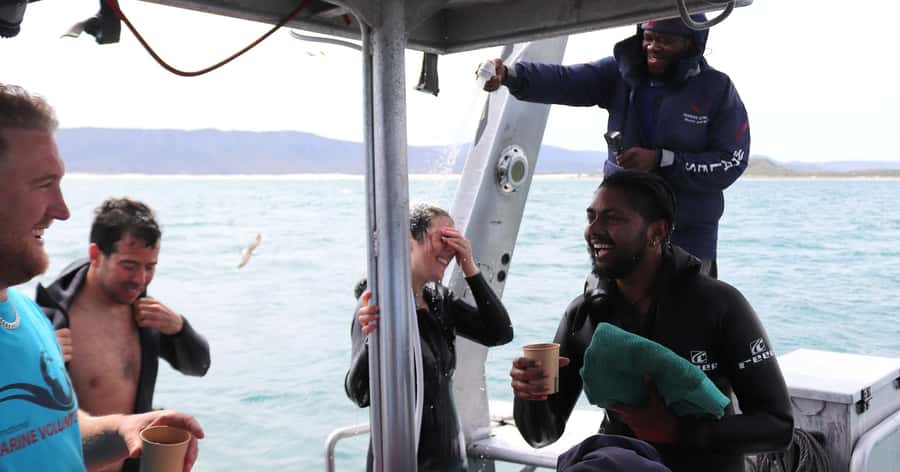 Cape Town: Gansbaai Eco-Friendly Shark Cage Diving Cruise - Great whites, copper sharks, and the risk of disappointment
