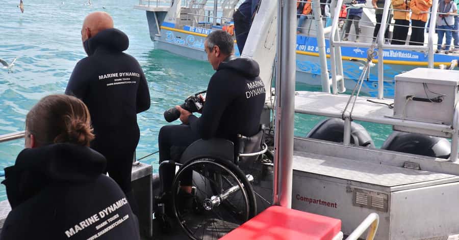 Cape Town: Gansbaai Eco-Friendly Shark Cage Diving Cruise - How the $237 price measures up