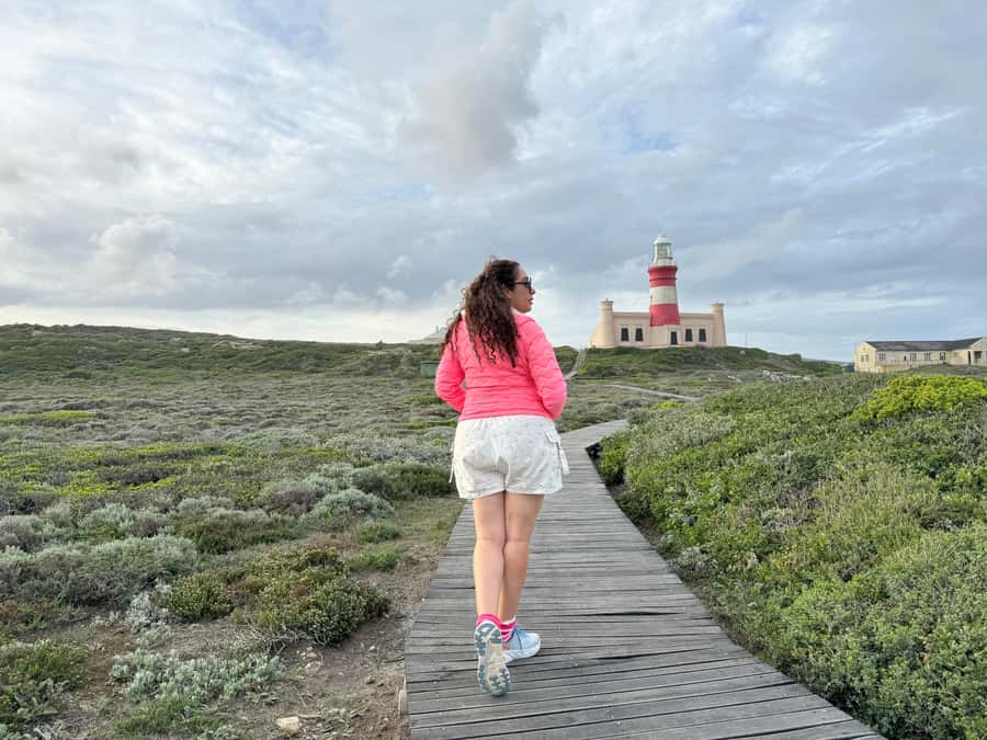 Cape Town: Garden Route and Addo Elephant Park 6-Day Safari - Accommodation and meals