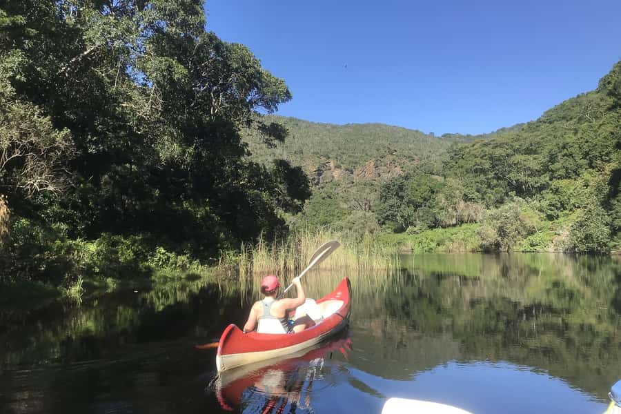 Cape Town: Garden Route and Addo Elephant Park 6-Day Safari - Why this Garden Route trip works