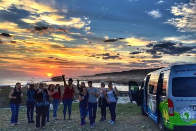 Garden Route and Addo Elephant Park 6-Day Safari