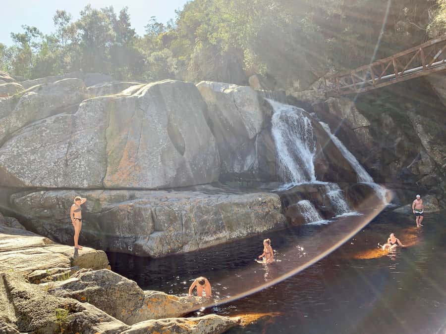 Cape Town: Garden Route and Addo Elephant Park 6-Day Safari - Day 4: Knysna, Bloukrans, and Tsitsikamma