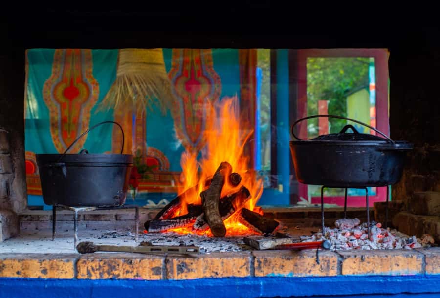 Cape Town: Garden Route and Addo Elephant Park 6-Day Safari - Day 5: Addo Elephant National Park