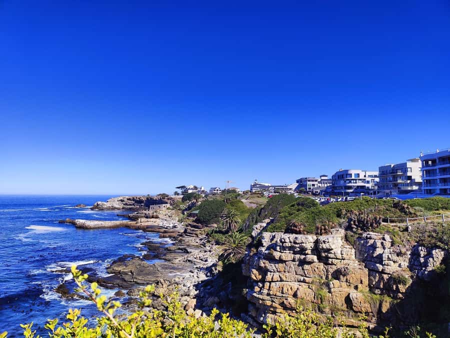 Cape Town: Garden Route and Addo Elephant Park 6-Day Safari - Guides, group size, and the daily rhythm