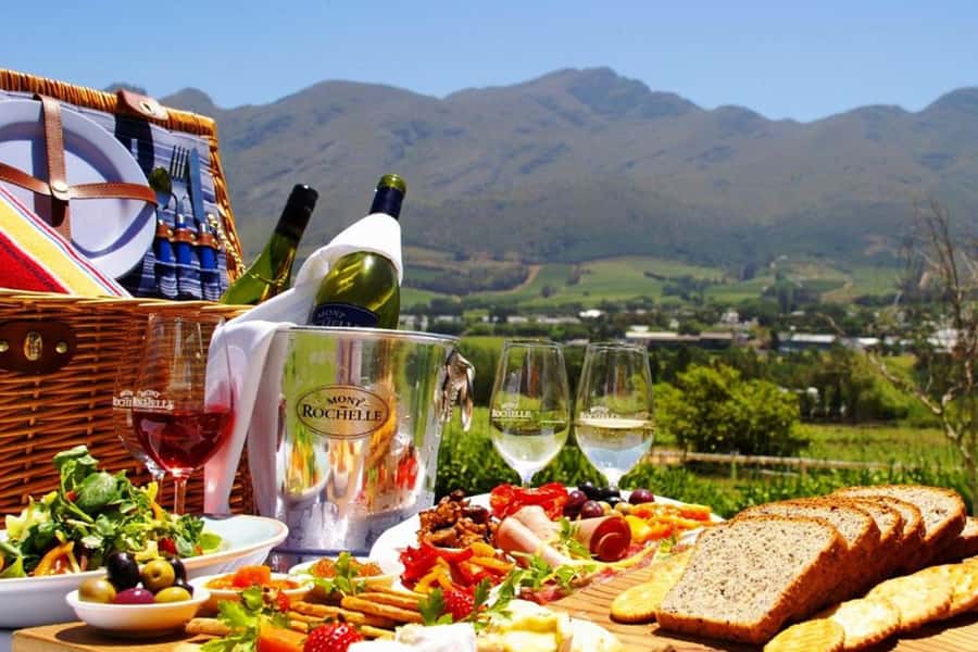 Cape Town: Giraffe House, Cheetah Encounter and Wine Tasting - Why combine giraffes, cheetahs, and wine?