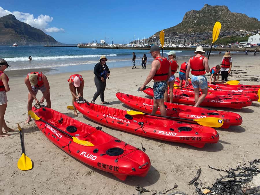 Cape Town: Guided Kayak Tour - Why Hout Bay works so well from a kayak