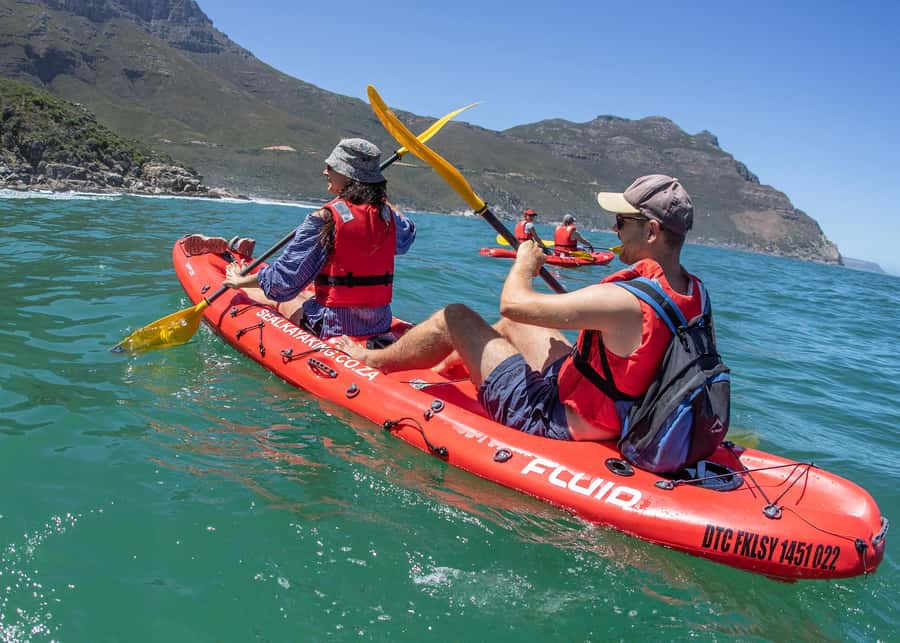 Cape Town: Guided Kayak Tour - Under the harbor jetties in the Green Room
