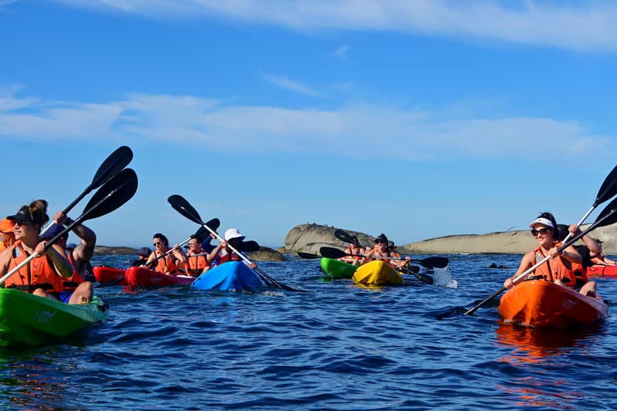 Cape Town: Guided Kayak Tour of Clifton Beaches & The Coast - Why a kayak is the right way to see Clifton