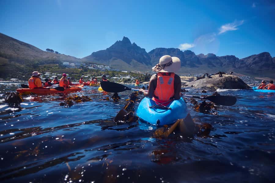 Cape Town: Guided Kayak Tour of Clifton Beaches & The Coast - What the $49 price gets you