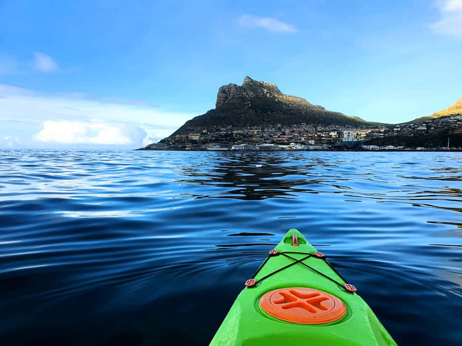 Cape Town: Guided Kayaking in Hout Bay - Key points before you book