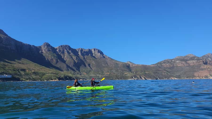 Cape Town: Guided Kayaking in Hout Bay - Meeting Hout Bay’s seals