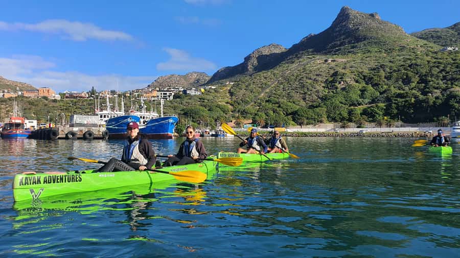 Cape Town: Guided Kayaking in Hout Bay - Dolphins, penguins, and the luck factor