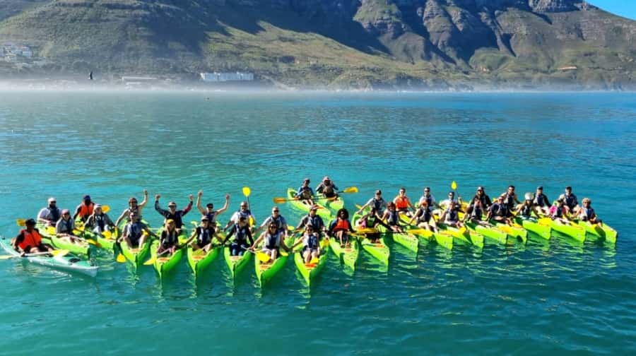 Cape Town: Guided Kayaking in Hout Bay - Why the start time matters
