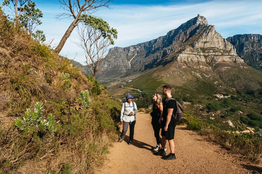 Cape Town: Guided Lion's Head Hike at Sunrise or Sunset - Descending after dark
