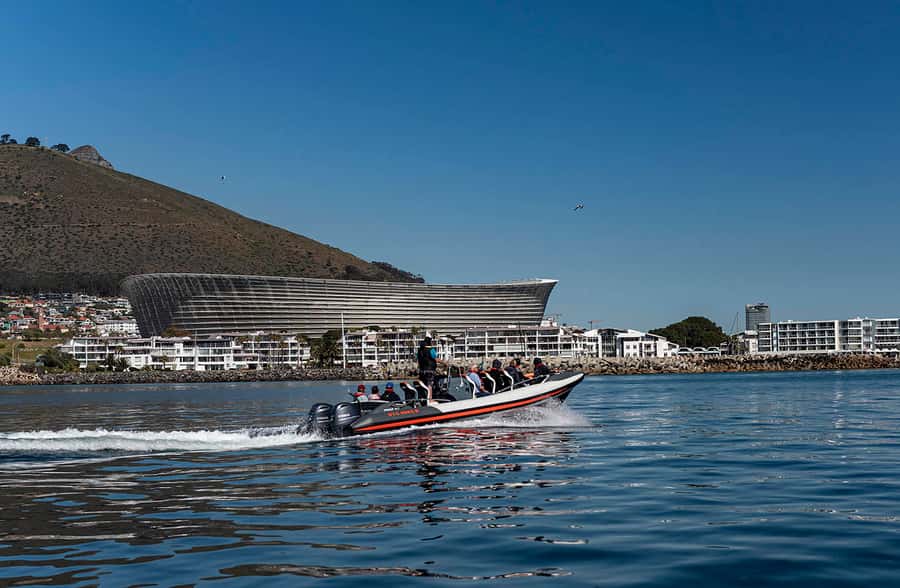 Cape Town: Guided Marine Wildlife Cruise and Cape Point Tour - One day, two very different Cape Town experiences