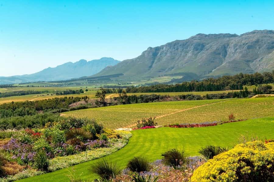 Cape Town: Guided Winelands Tour & Tasting in Stellenbosch - Key points to know