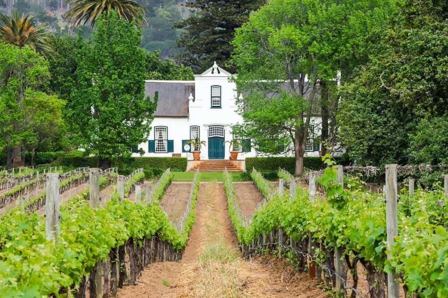 Cape Town: Guided Winelands Tour & Tasting in Stellenbosch - What you taste in South African wine country