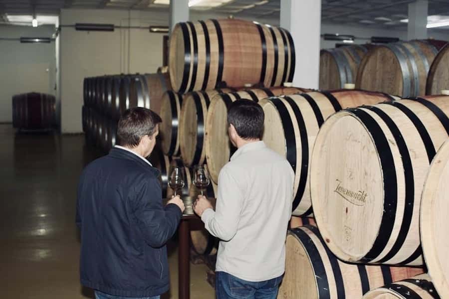 Cape Town: Guided Winelands Tour & Tasting in Stellenbosch - Four hours compared with a full day