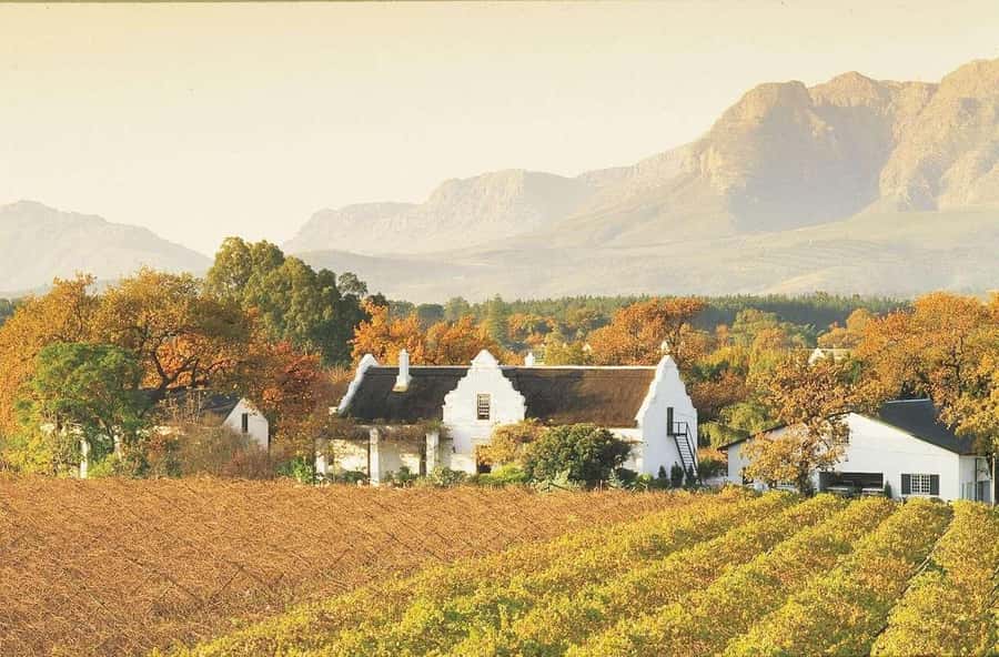 Cape Town: Guided Winelands Tour & Tasting in Stellenbosch - Price, comfort, and what is included