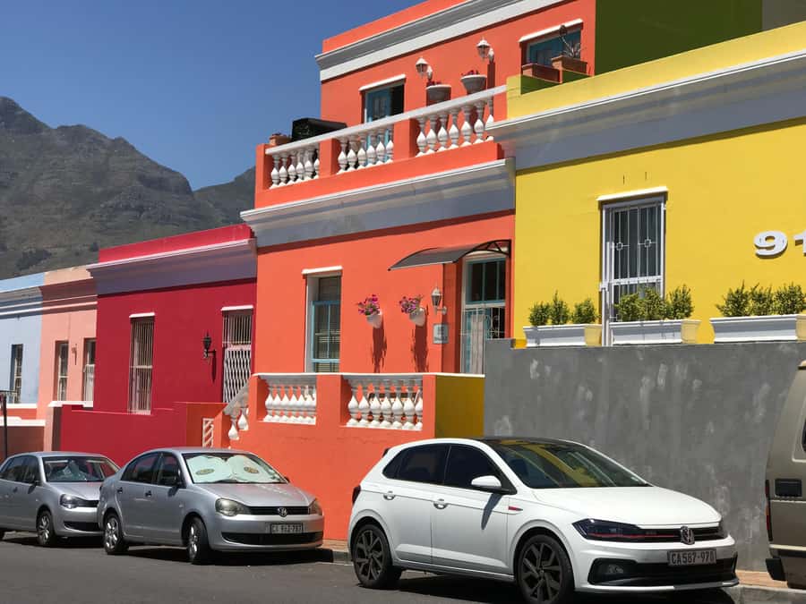 Cape Town: Half-Day Boulders Beach & Penguin Encounter Tour - Who should book this penguin tour?