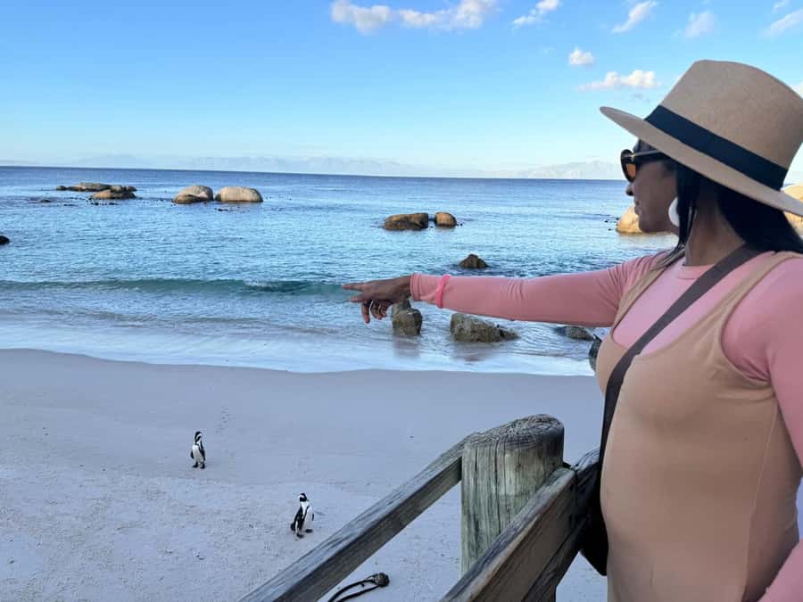Cape Town: Half-Day Table Mountain and Penguin Group Tour - Why this six-hour route works