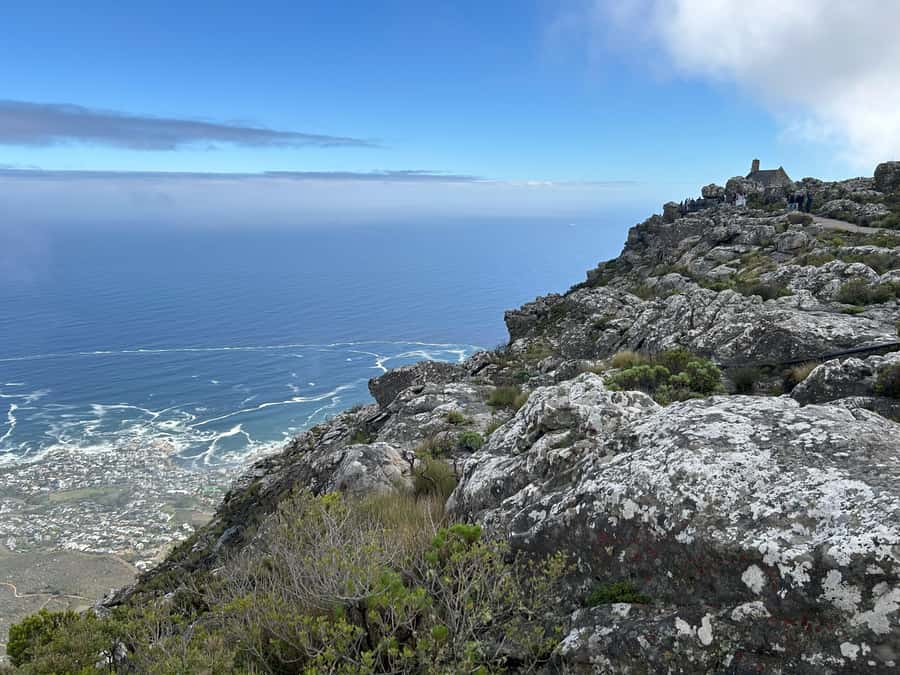 Cape Town: Half Day Table Mountain & Kirstenbosch Gardens - Why this half-day combination works