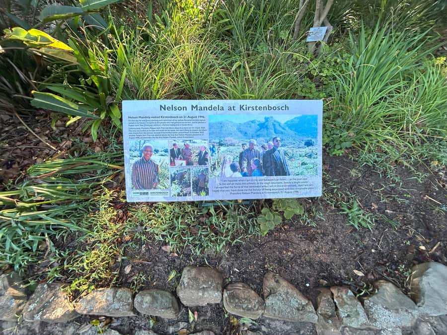 Cape Town: Half Day Table Mountain & Kirstenbosch Gardens - A guide who can add more than the advertised route