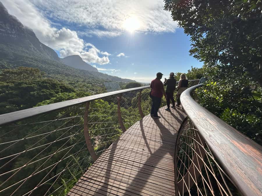 Cape Town: Half Day Table Mountain & Kirstenbosch Gardens - Is $83 a fair price?