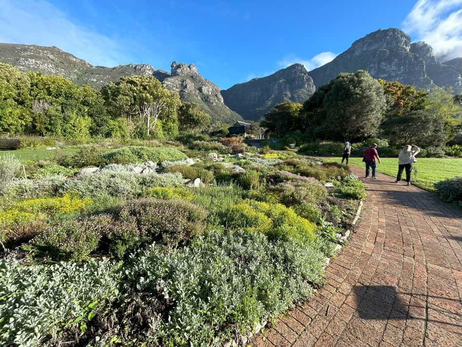Cape Town: Half Day Table Mountain & Kirstenbosch Gardens - Weather, timing, and what to pack