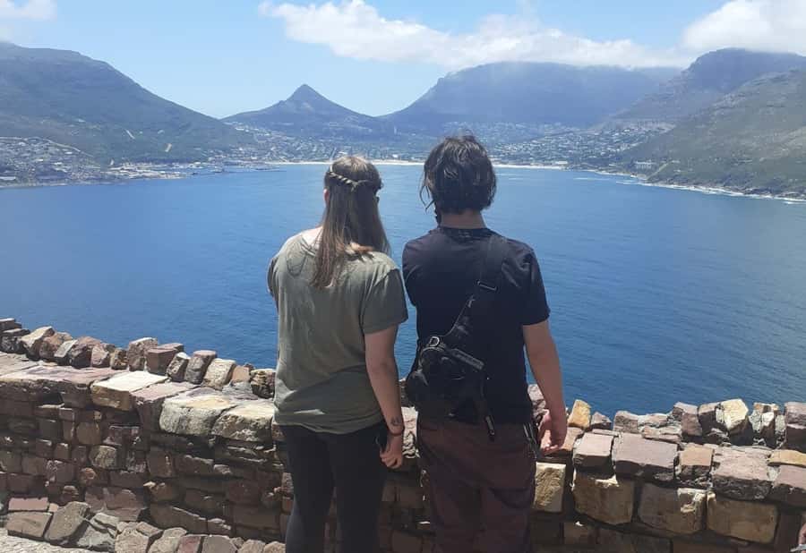 Cape Town: Halfday African Penguin tour - Key points to know before you book