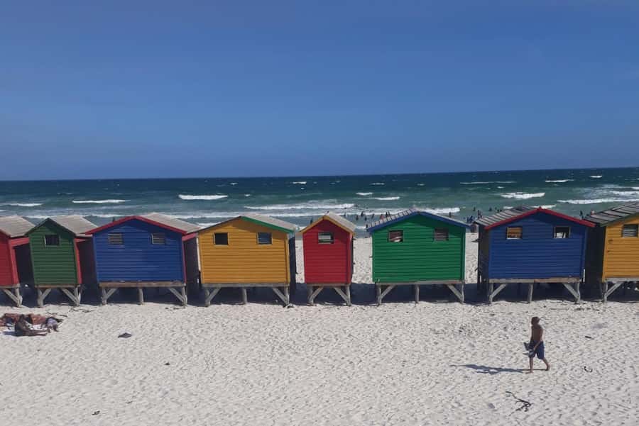 Cape Town: Halfday African Penguin tour - Boulders Beach gives you the time you came for