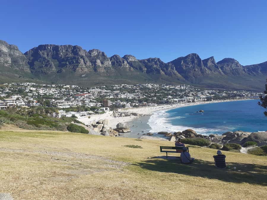 Cape Town: Halfday African Penguin tour - Is $77 a fair price for five hours?